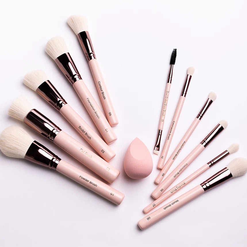 Blush Beauty Makeup Brush Set
